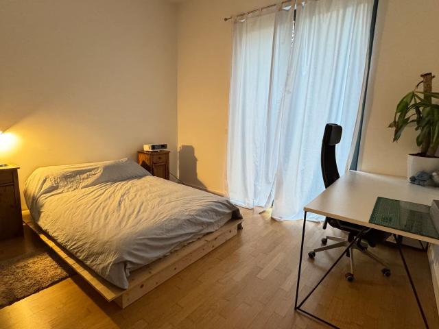 Quiet and spacious studio in Prenzlauer Berg Berlin