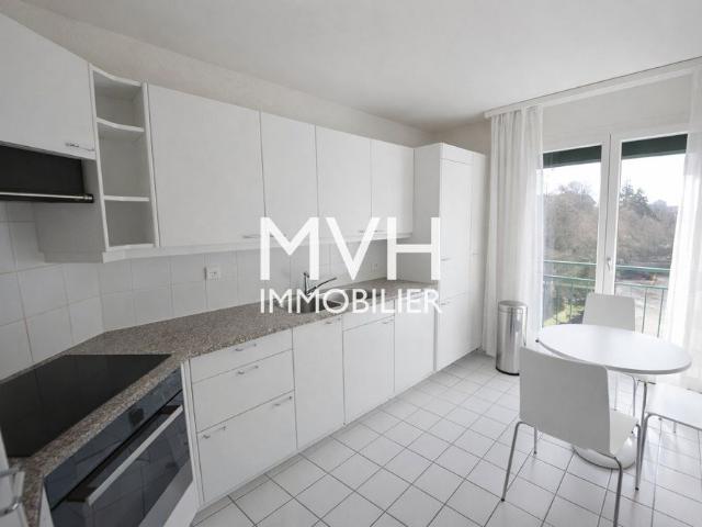 Quiet apartment with Jet d'eau view in Les Tulipiers