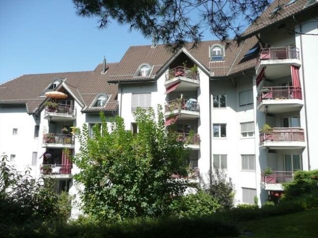 Quiet neighborhood near Rotsee