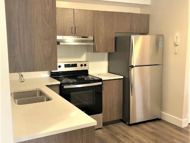 Quiet rent controlled 6 unit apartment building near the Perley Rideau Veterans Hospital, the General Hospital and the C