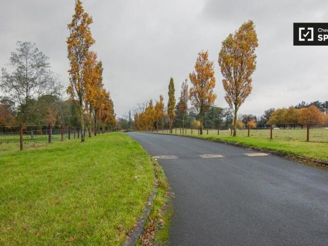 Quiet room for rent in 2 bedroom apartment in Donabate