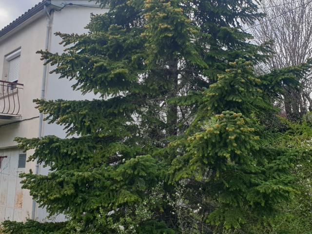Quillan Vente Maison 11