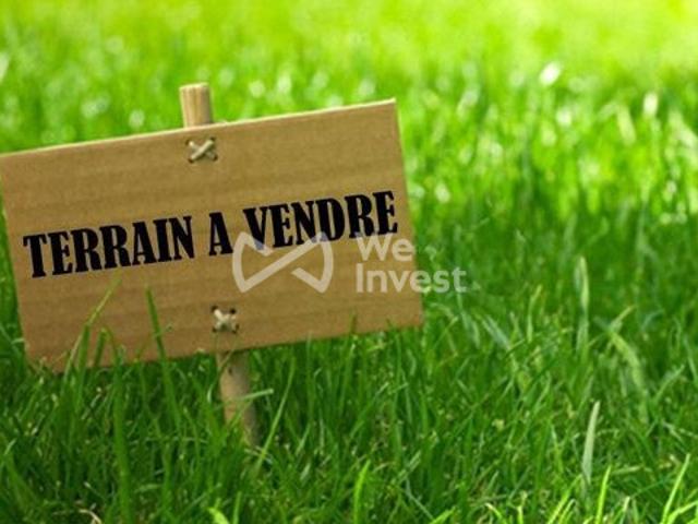 Quilly Vente Terrain 44