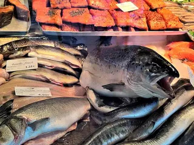 Quimper 29000 Achat / Vente divers