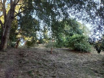 Quincho ampliada a casa en Las Quemas, Osorno | 0 Dormitorios por 7500.00 en Osorno