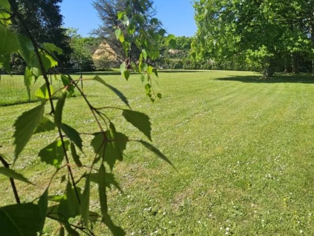 Quincy Voisins Vente Terrain 77