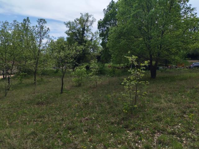 Quinson Vente Terrain 04