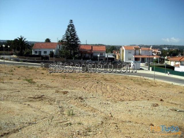 Quintola da maçã Sesimbra | 26060371162