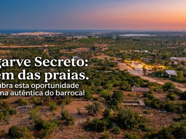 Quinta 3ha em Tavira com Casa para Recuperar | Investimento Algarve | Perto da Praia