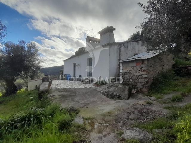 Quinta