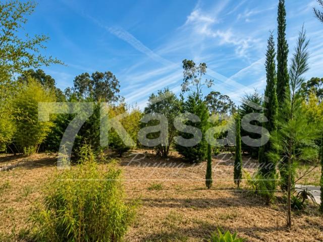 Quinta 19.300 m² Bombarral | Privacidade, Natureza e Elevado Potencial de Investimento