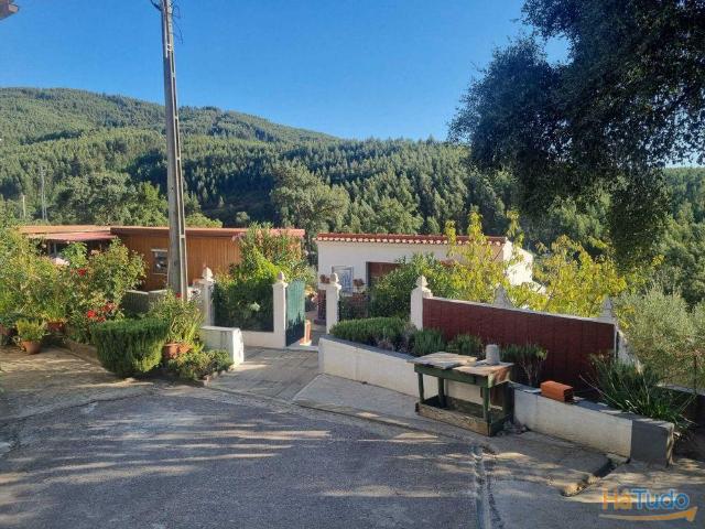 Quinta | 26024035298