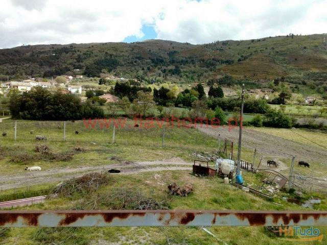 Quinta | 26064059336