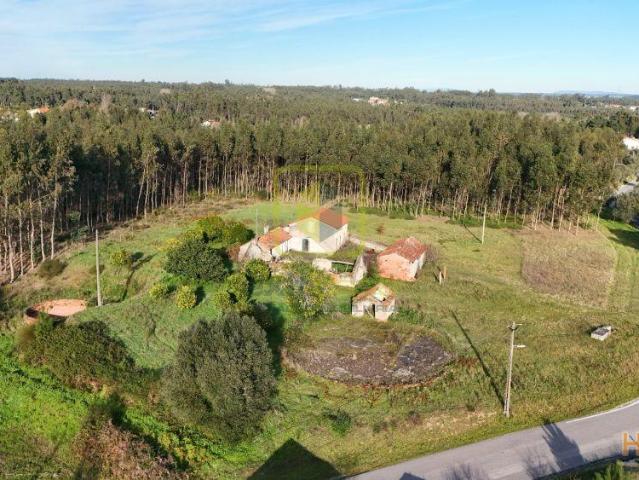 Quinta | 26064084761
