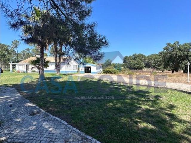 Quinta 28 992 m2 c/Habitação 0m² Azeitão São Lourenço e São Simão