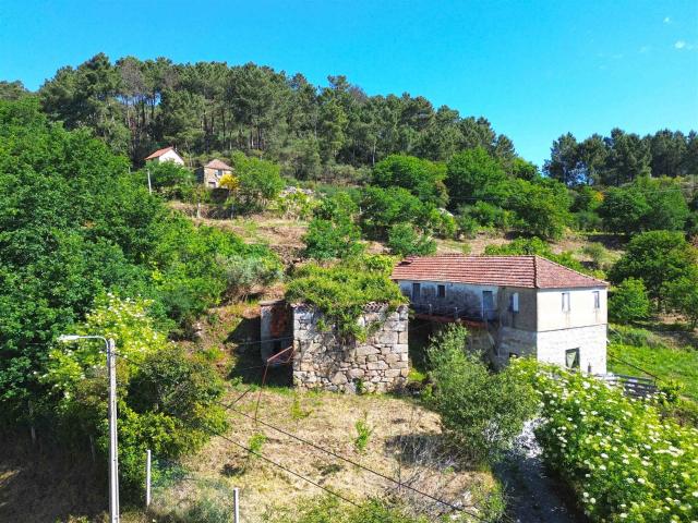 Quinta 2,6ha Vista panorâmica e várias edificações 215m² Penha Longa e Paços de Gaiolo