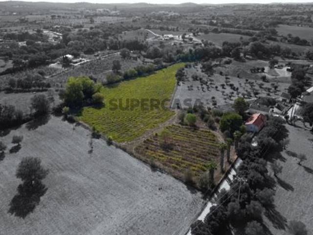 Quinta 2ha Montemor o Novo