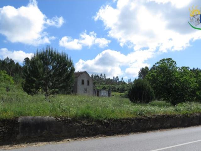Quinta