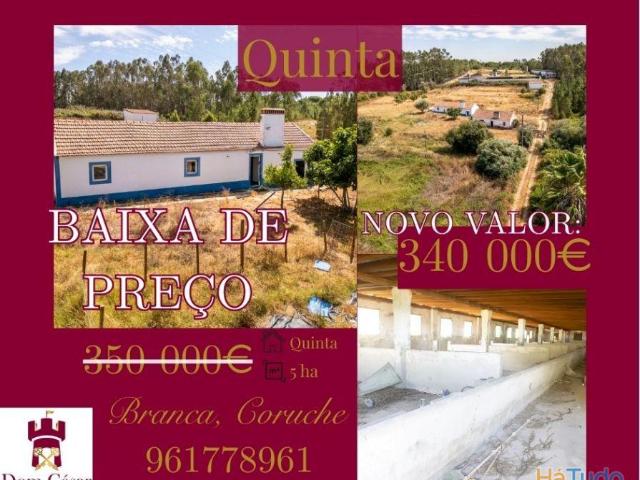 Quinta 5hct Rústica / Urbana com Potencial Único Branca Coruche | 26083997778