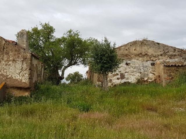 QUINTA
