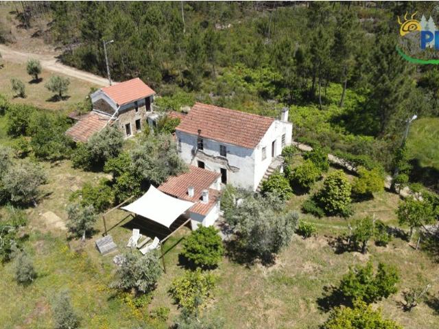 Quinta