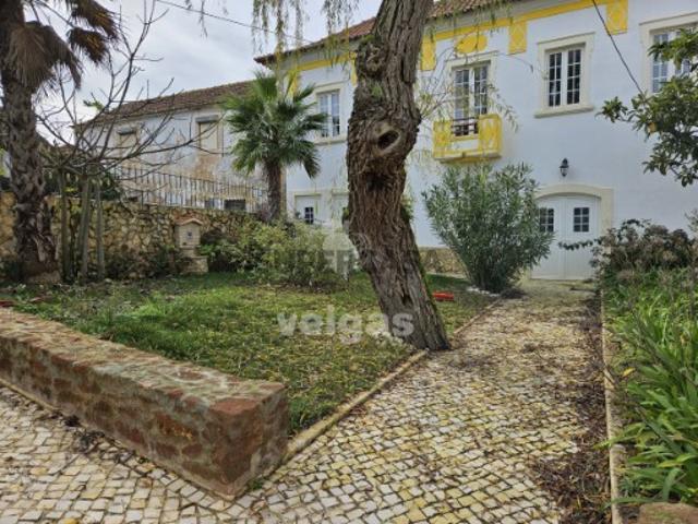 Quinta c/ 2 Moradias, Adega, Garagem e Pomar