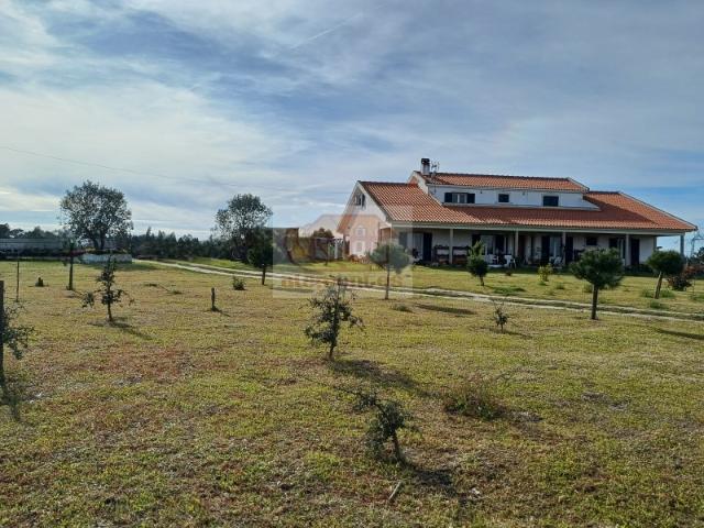 Quinta com magnífica casa e piscina