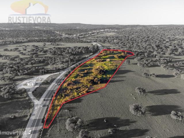 Quinta com monte em ruinas e com viabilidade de Construo, prxima.