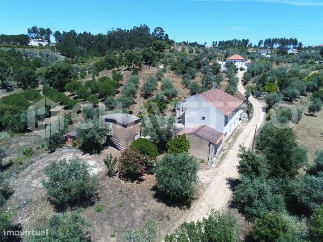 Quinta com moradia, anexo e terreno em local tranquilo