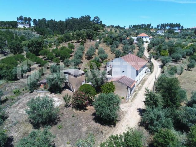Quinta com moradia, anexo e terreno em local tranquilo. 0m² Serra de Junceira