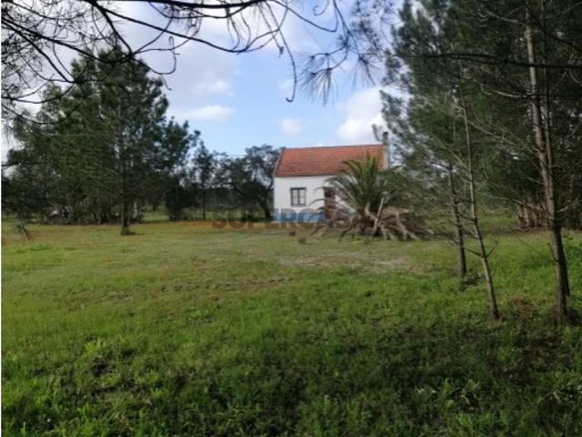 Quinta com Moradia em Grândola