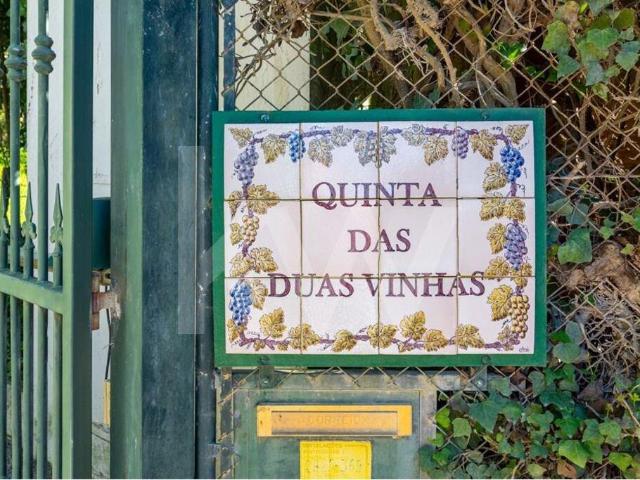 Quinta com Moradia T4, Piscina, Corte de Ténis e T2 independ. 373m² Azeitão São Lourenço e São Simão