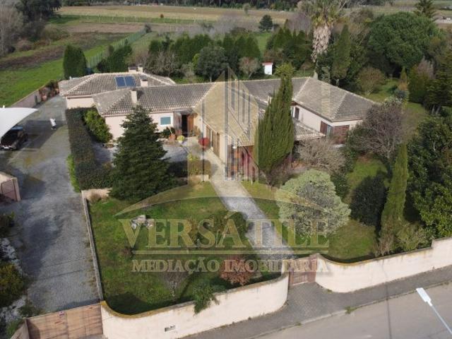 Quinta com Moradia Térrea com Terreno vedado em Oliveirinha | Aveiro Um Refúgio de Conforto e Tradição