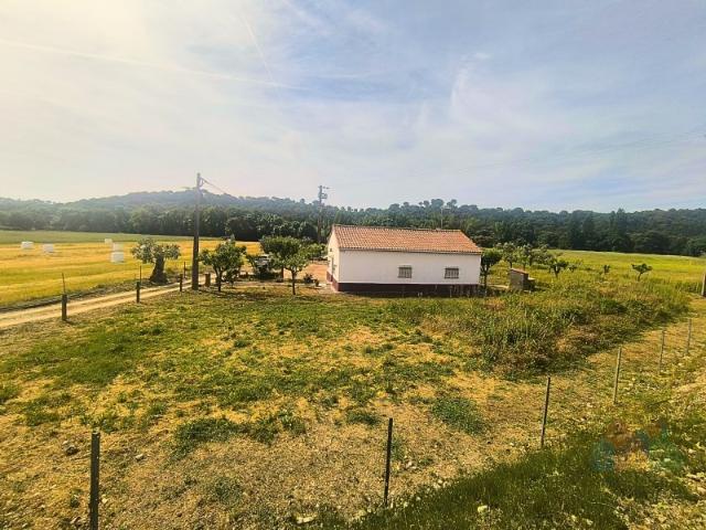 Quinta com acesso privado ao rio a 10 minutos de Tomar