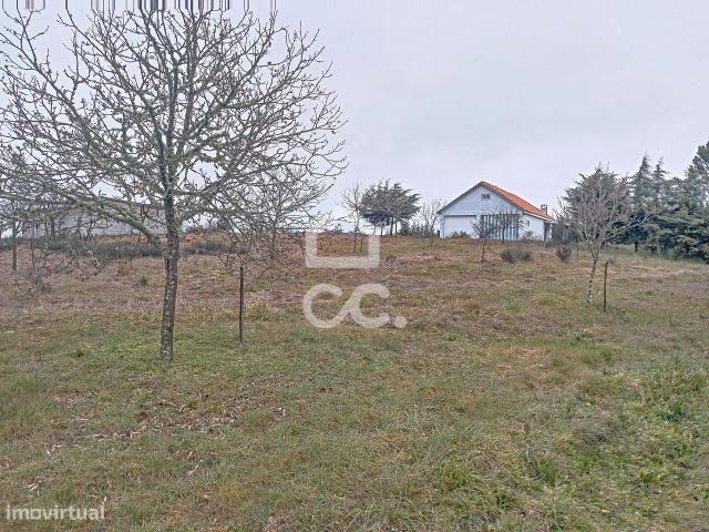 Quinta com Aproximadamente 4 ha mais 2ha de Plantao de Castanheiros