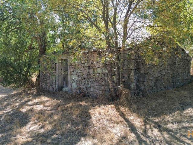 Quinta com área de 3250m2 e Construção Rural com 36m2 ? a 10 minutos de Castelo Branco | 26064039149