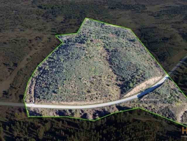 Quinta com área total de 9.5ha, a 3 minutos de Castelo Branco. | 26063916804