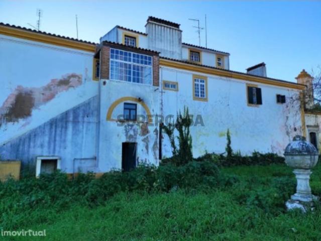 Quinta com boa exposição exposição solar e com espaços verdejantes Monforte