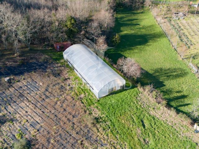 Quinta com casa 300M2 em Serzedelo, Póvoa de Lanhoso, Braga