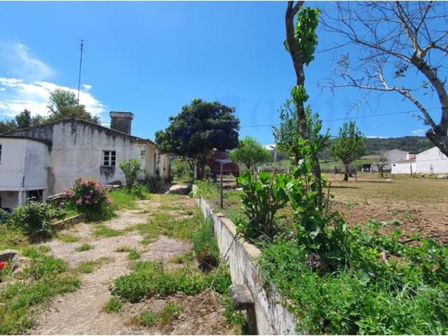 Quinta com casa de 3 assoalhadas no Pisão Novo, São Salvador da Aramenha