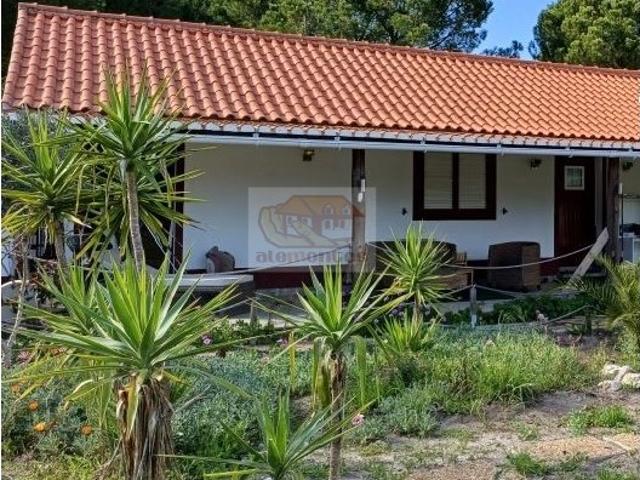 Quinta com casa e pinhal em Grândola!