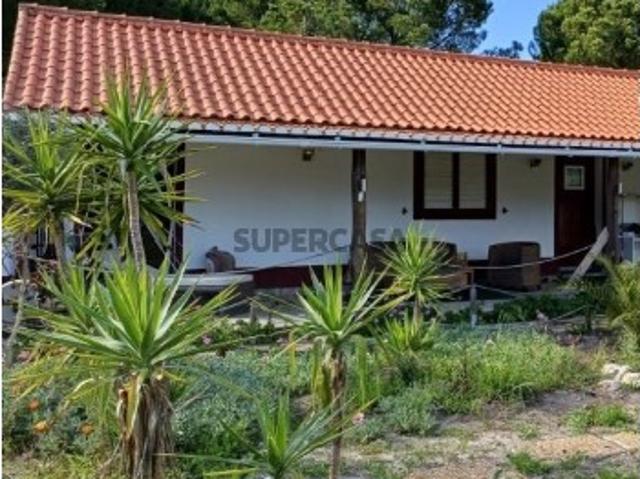 Quinta com casa e pinhal em Grândola!