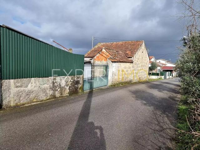 Quinta com casa em ruina Vila de Tábua