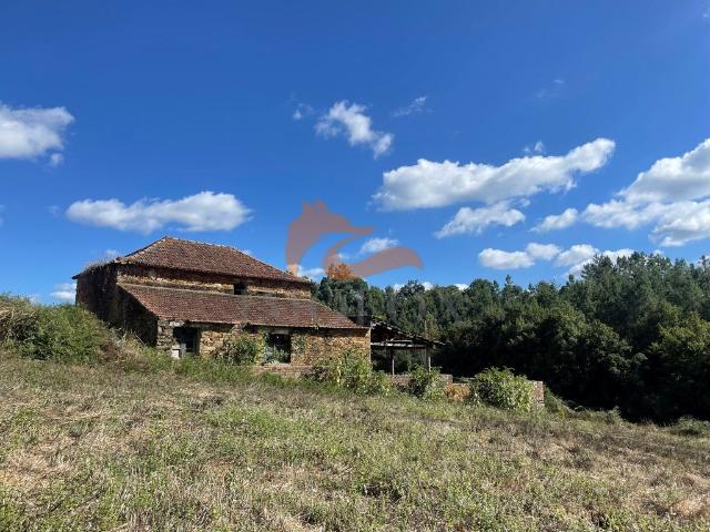 Quinta com casa em xisto e terreno com cerca de 2,4 hectares. 200m² Midões