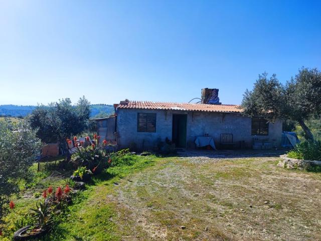 Quinta com Casa Rural com oliveiras e rodeada de paisagem panorâmica Castelo Branco