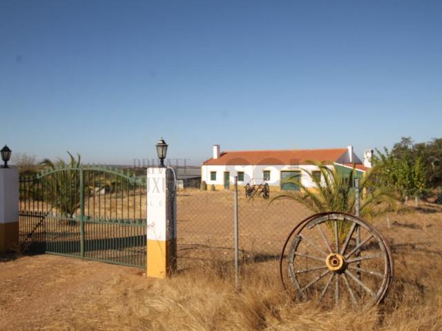 Quinta com cerca de trinta hectares no Alentejo, com monte A. 100m² Aldeia Nova De São Bento