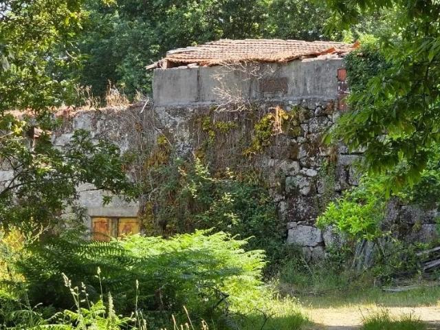 Quinta com cerca de 36.000 metros