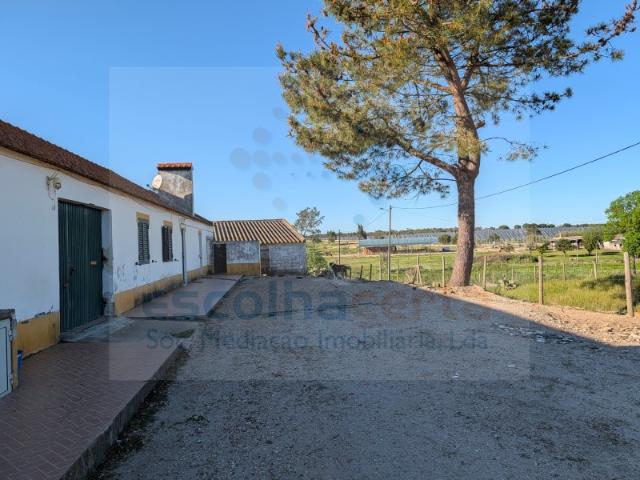 Quinta com duas Moradias T2 + 2,5 Hectares em Pegões | Investimento Único