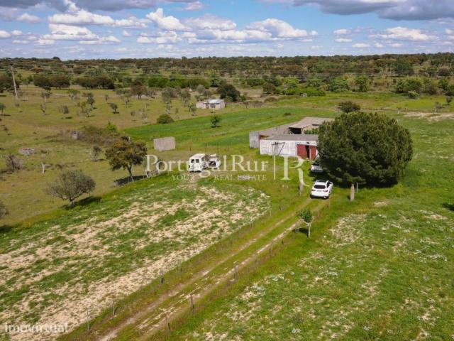 Quinta com dependncia agrcola em Nisa