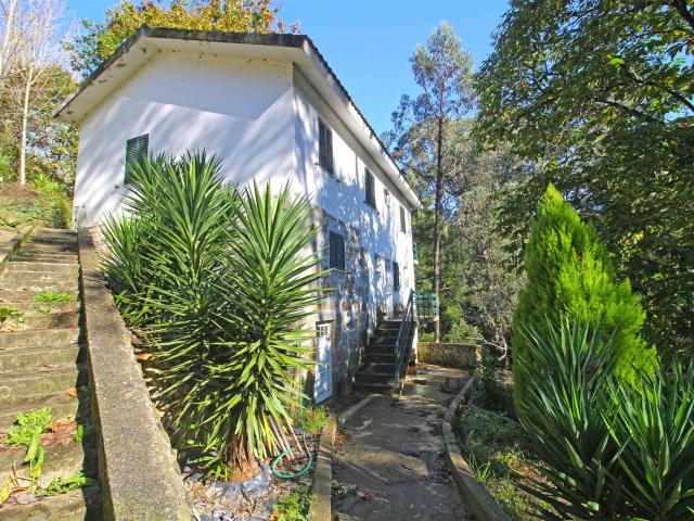 Quinta com frente de Rio Junto do Rio Douro 224m² Santa Maria De Sardoura
